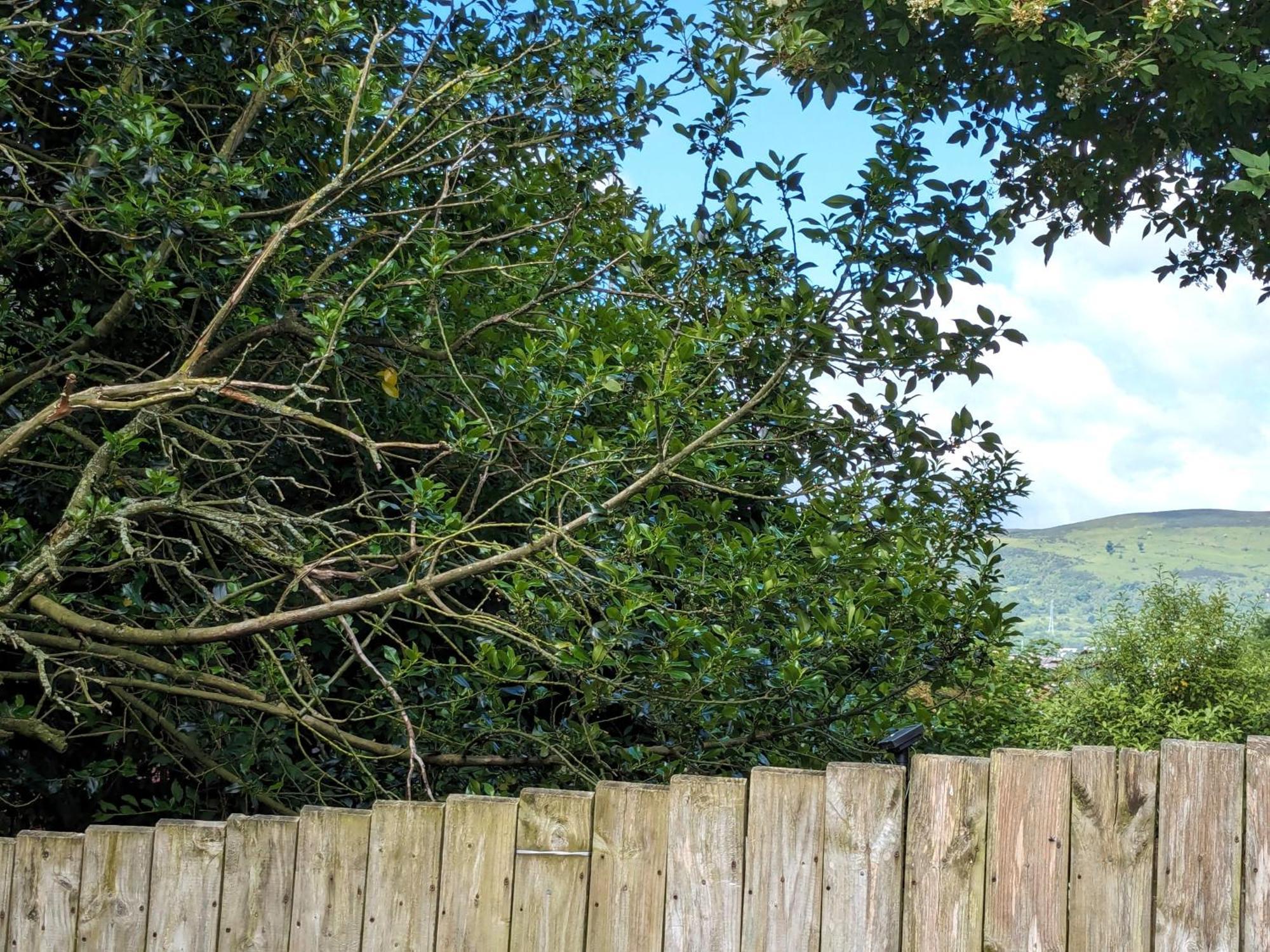 Villa Heart Of Belfast With Private Garden Extérieur photo